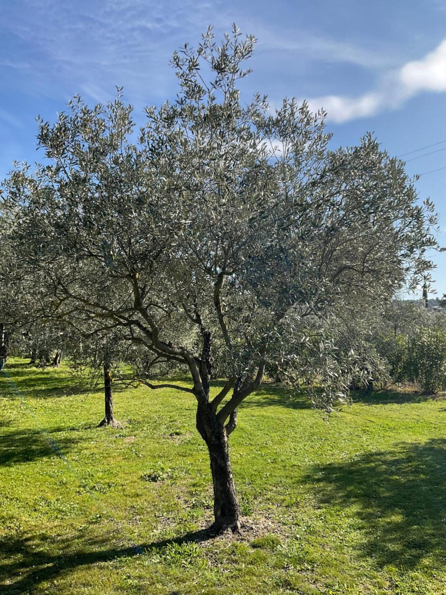 Bed and Breakfast Provence Km28 Gordes Exteriér fotografie